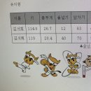 신영태비태권도 이미지