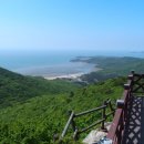 무의도본토공인중개사사무소 | '황해의 알프스', 무의도 '호룡곡산 전망대'의 풍광