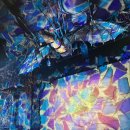 오케이굳(주) | 내한 뮤지컬 위키드 뿌시기 VIP석 1층 7열 36번 시야