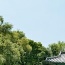 서원트레이딩 이미지
