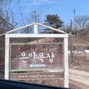 은아농장 | 여주 아이와 가볼만한곳 은아목장 동물체험 예약 가격 피자 아이스크림 만들기