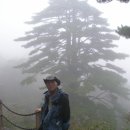 황산야채