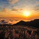 In Your Dream(당신의 꿈속에서) / Amazing Piano Music 이미지