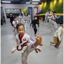 용인대 승리 태권도장 이미지