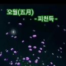 피천득의&#34;오월&#34;(배경음악,봄의 소리 월츠) 이미지