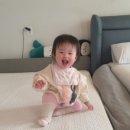 라플레르 풀빌라 이미지