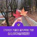 상소 유아숲체험원 이미지