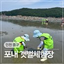 인천 아이와 함께 가볼만한 곳 무의도 하나개해수욕장 포내갯벌체험장