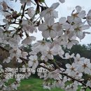 4월2일 목요일 서부경남방출석부 이미지