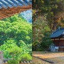오성커피숍