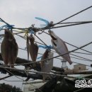 24번횟집 - 남구 장생포고래로288번길 24 | 24번횟집
