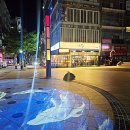 정관 돌고래광장 이미지