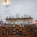 강정2442 꽃피우다 이미지