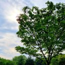 첨단응암공원 앞 이미지