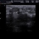 24시 더나은 동물메디컬 센터 이미지