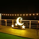 메르베르스파애견펜션 이미지