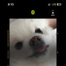 깬도리 네이버블로그