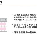 신비너스 이미지