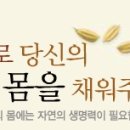 발효건강카페