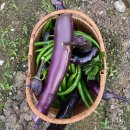 해나비농장 이미지