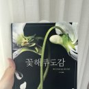 백합작은도서관 이미지