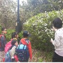 인천영종초등학교금산분교장 이미지