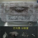 내안에 잠자고 있던 청소본능!! 로봇청소기 마미가 일깨우다 이미지