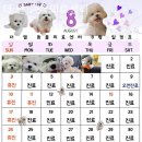 더엘동물의료센터 이미지