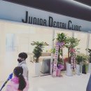 광명 주니어 소아치과의원 네이버블로그