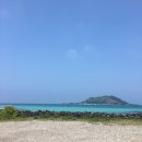 스테이 밭 이미지