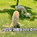 청송목장 | 1박2일 여름휴가 아이와 함께가기 좋은 가족여행 피서지 추천