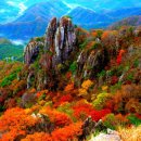 대둔산회관