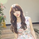 한가림 카카오 검색결과