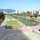 큰집 돼지국밥보쌈 이미지