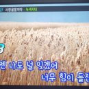왁스노래연습장 네이버블로그