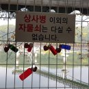 안동고을 Daum카페