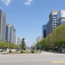 솔안말배드민턴장 이미지