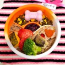 도그앤츄 이미지