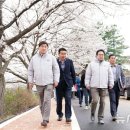 봄날 뉴시스