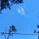 완월동105 이미지