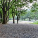 기산골캠핑장 이미지