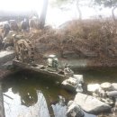 비남가든 이미지