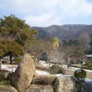 와우정사 이미지