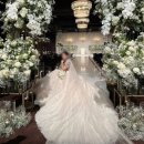 아모리스 이미지