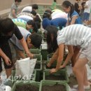 구름산초등학교 이미지