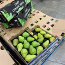 하늘마트 | 캐나다 버나비에서 H마트(한남수퍼마켓), 코스트코 구경 후기 (영양제 가격)