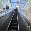 타로카드로 인생의 실마리를 찾다 | 사당데이트 추천, 사당역사주 최현주의 힐링타로 아카데미 후기