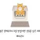 뷰티바이써니