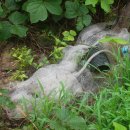 내사주유소 이미지