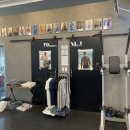 팀 보노 이미지